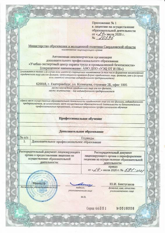 Лицензия Министерства образования и молодежной политики Свердловской области на осуществление образовательной деятельности, приложение